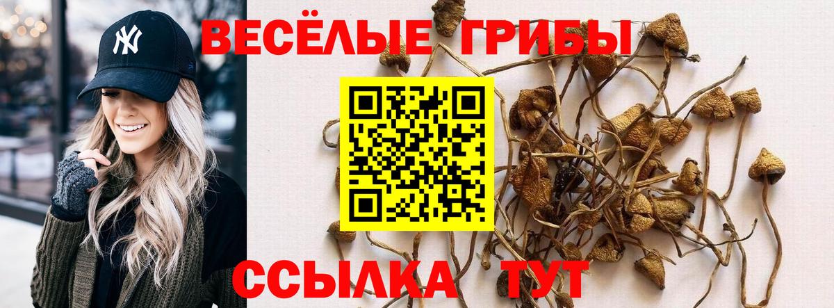 Кудымкар  Галлюциногенные грибы Cubensis  Вход с VPN 